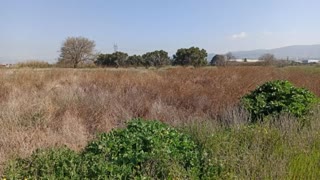 13688 m² Parcel