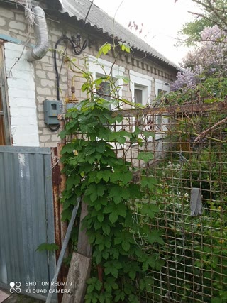 Продам домик для ведения хозяйства шикарное место