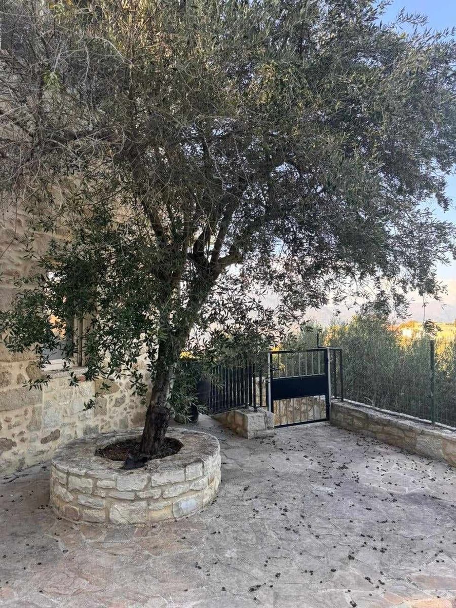 Μονοκατοικία 169τ.μ.