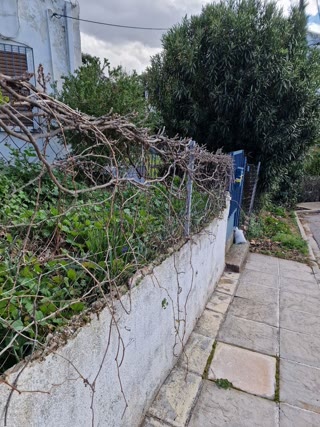 388 m² Plot