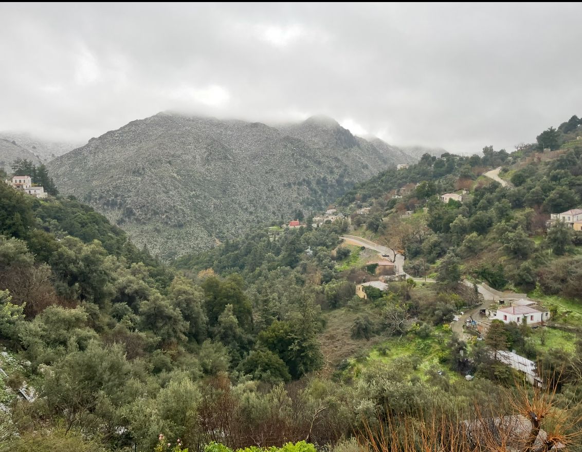 Μονοκατοικία 280τ.μ.