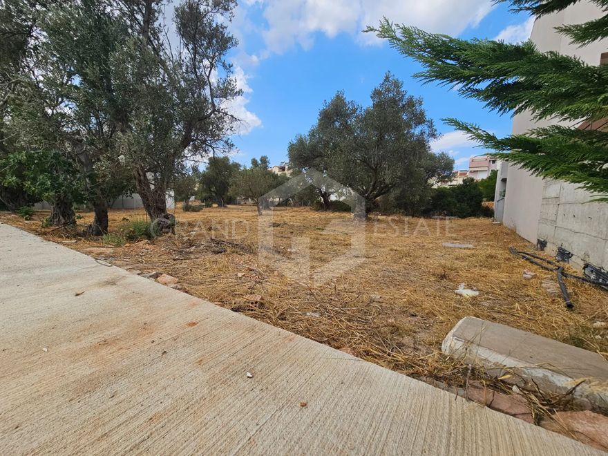 Οικόπεδο 1043τ.μ.