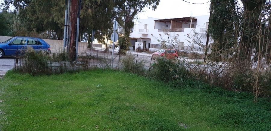 307 m² Plot