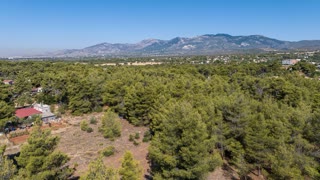 10096 m² Plot