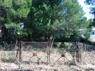 2800 m² Plot