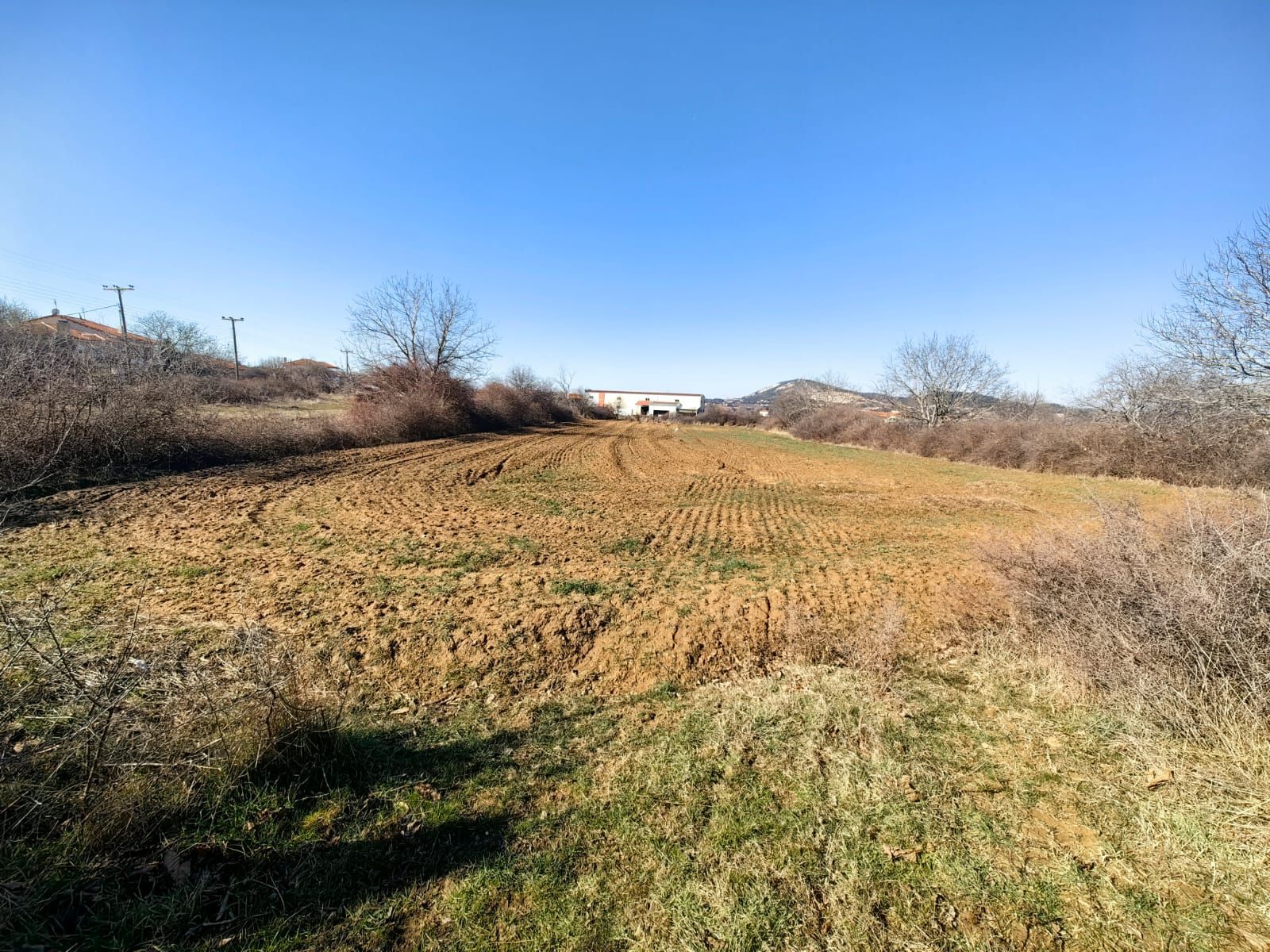 Участок 5500 м²