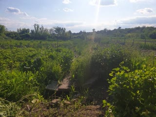 Продам земельну ділянку в Печенігах біля річки Северський Донець