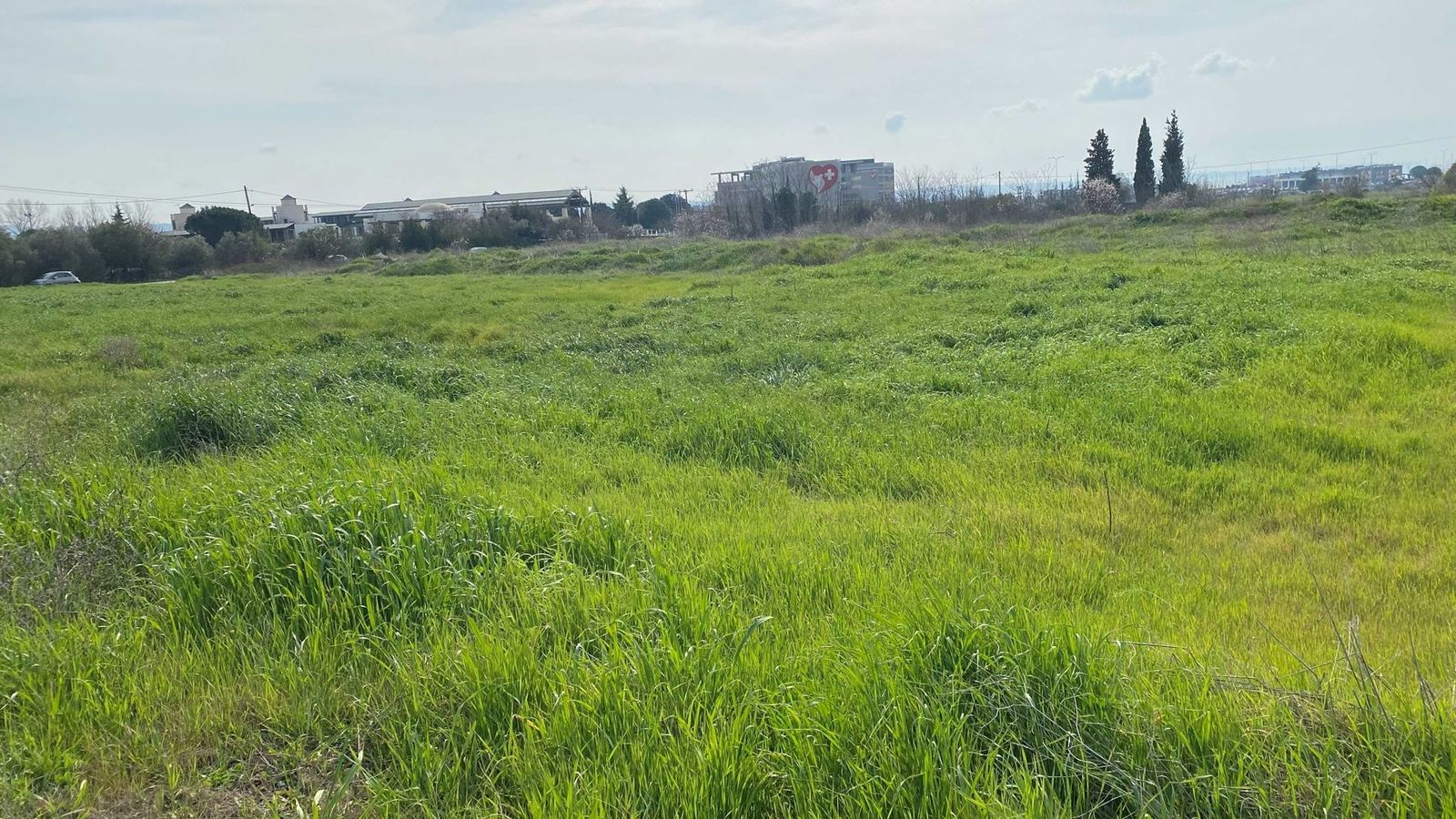 Αγροτεμάχιο 6350 τ.μ.