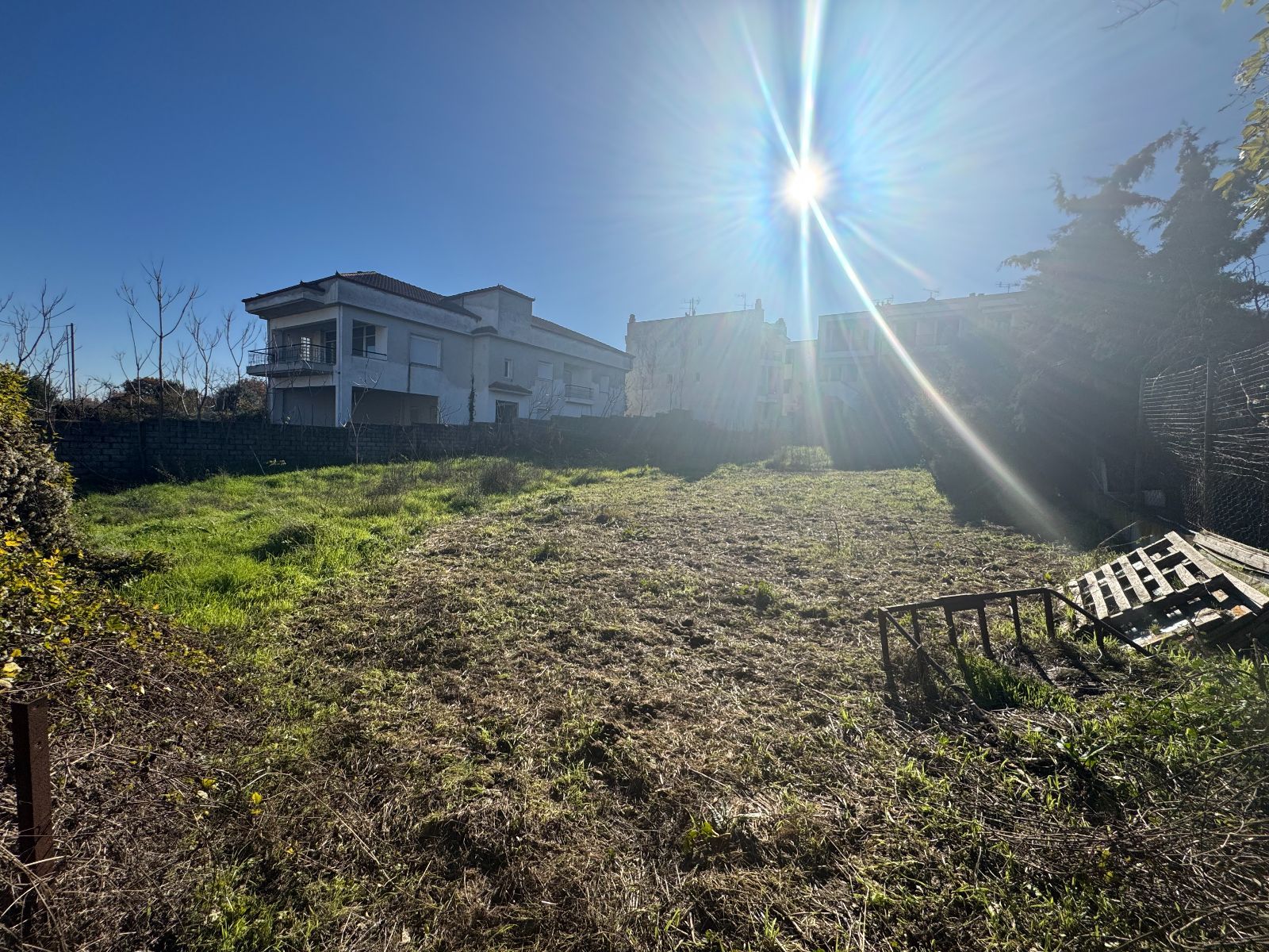 1250 m² Plot