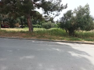 2280 m² Plot