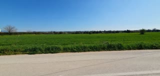 6000 m² Parcel
