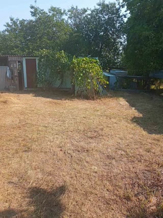 For sale: a plot in Khoroshevo!