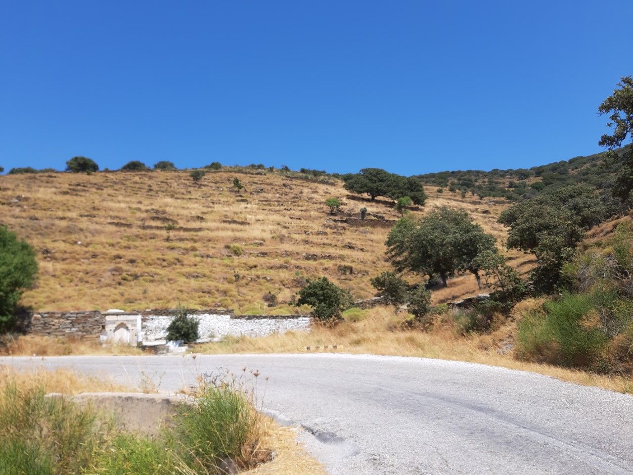 Αγροτεμάχιο 16927 τ.μ.