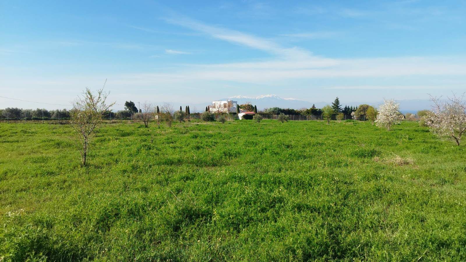 5800 m² Parcel
