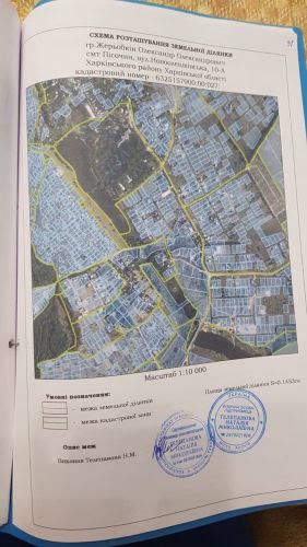 id_43454182