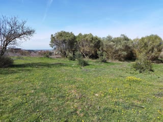 4600 m² Parcel