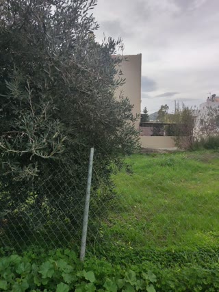 Участок 236 м²