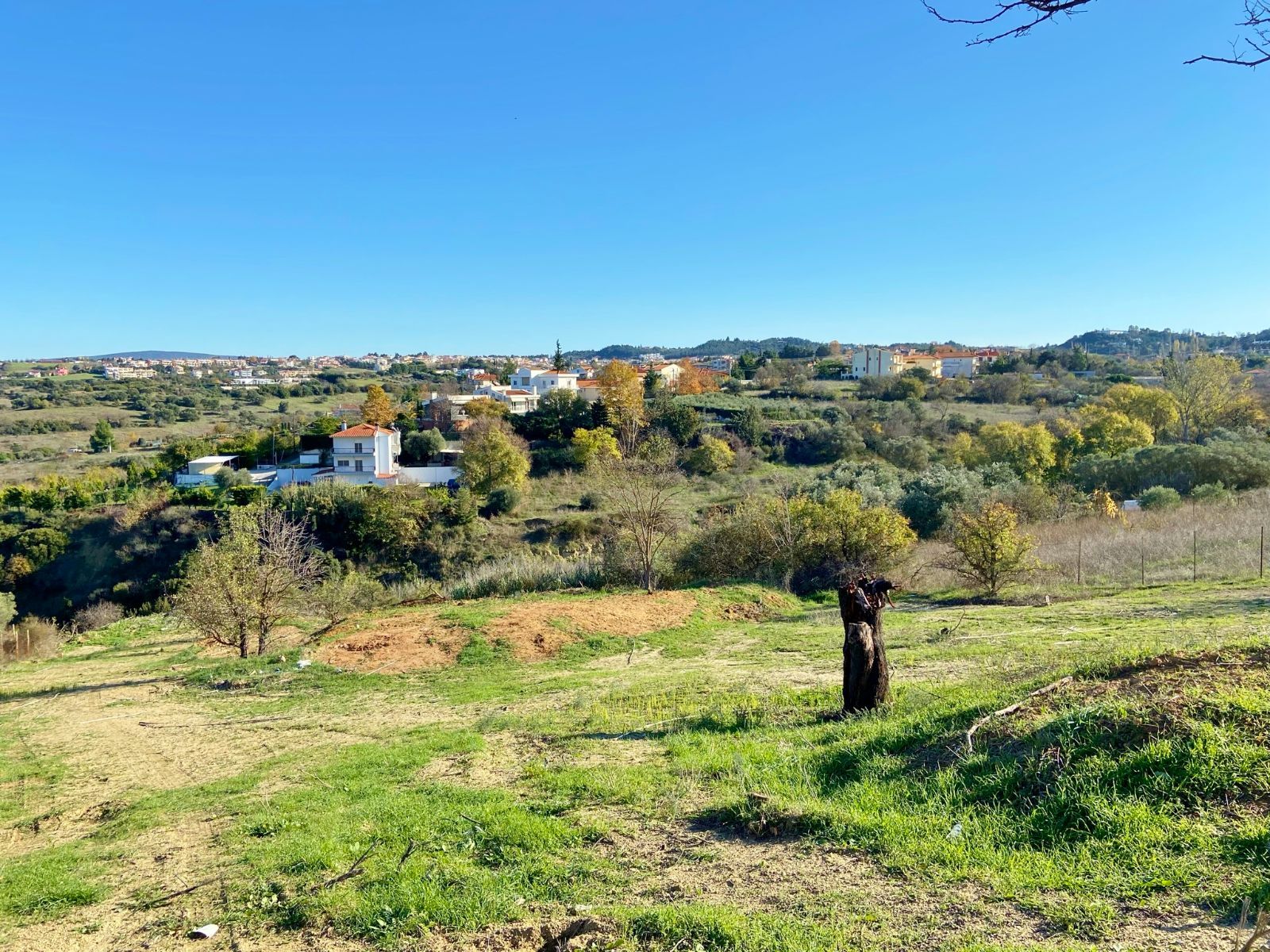 Agricultural Parcel of 2260 m²