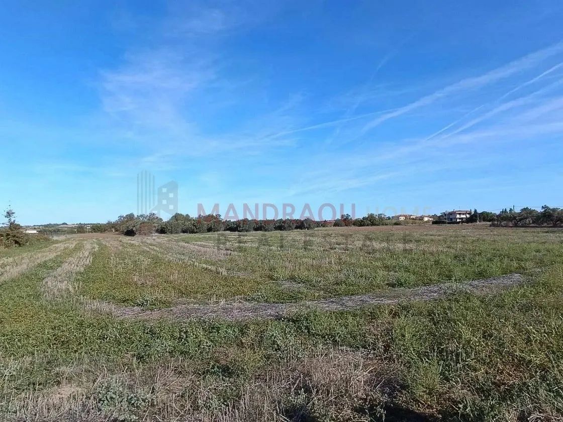 7500 m² Parcel