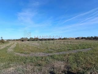 7500 m² Parcel