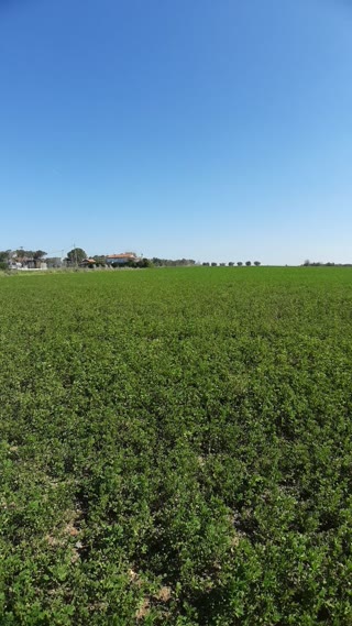 6300 m² Parcel