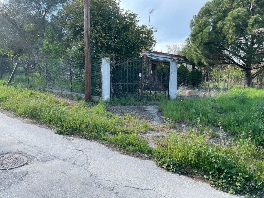 500 m² Plot