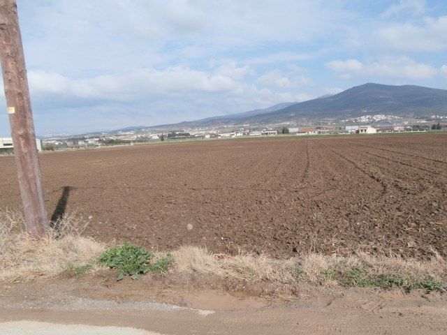 Αγροτεμάχιο 4513τ.μ.
