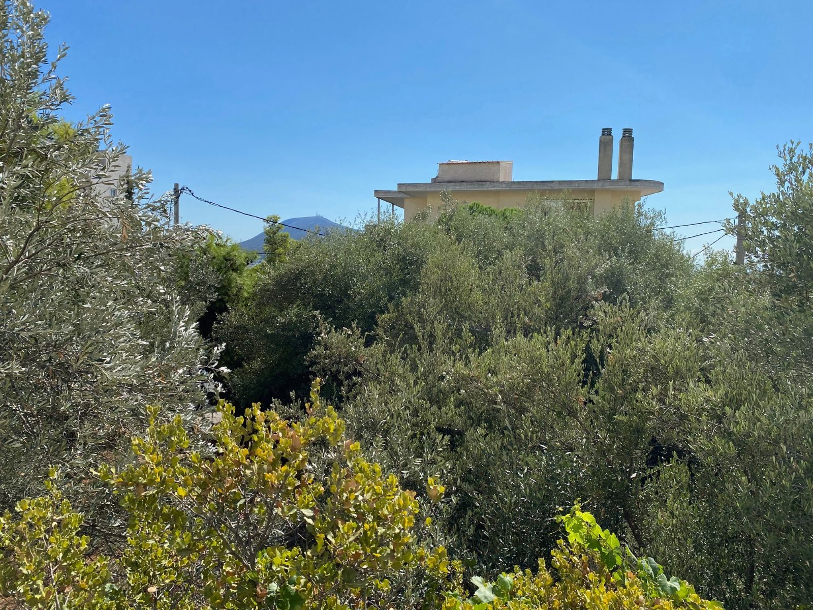 607 m² Plot