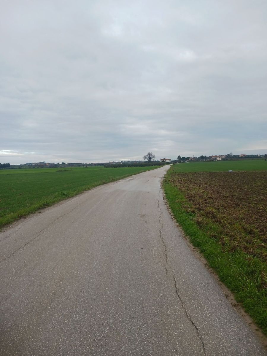 5760 m² Parcel