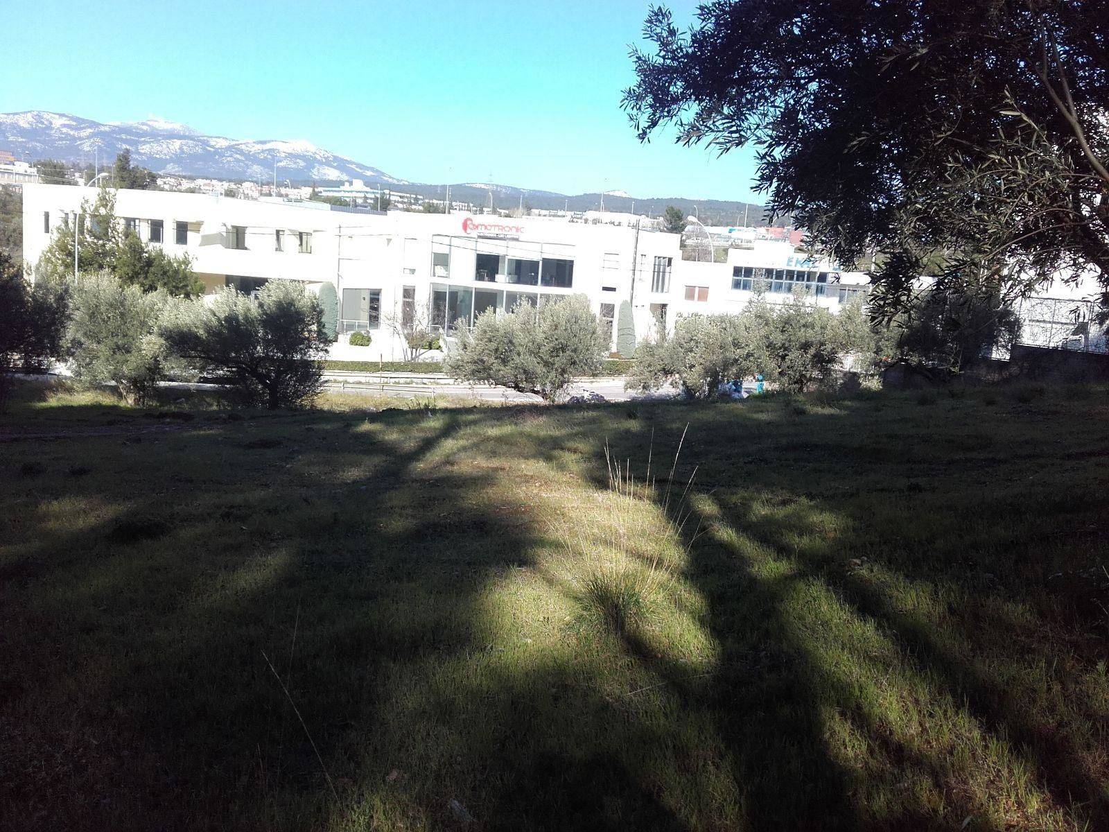 Οικόπεδο 2300τ.μ.
