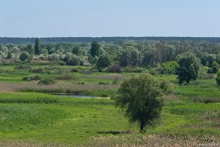 Продам великий добротний теплий будинок у Змієві