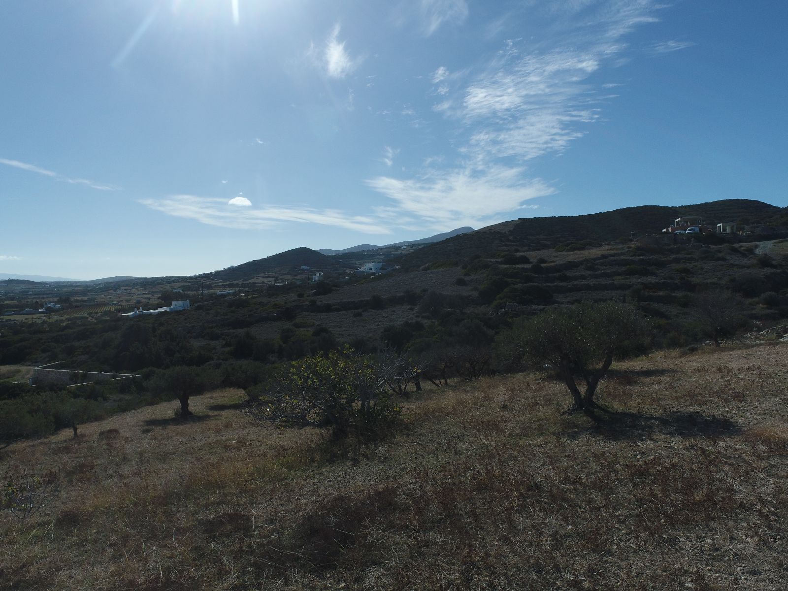 4000 m² Plot