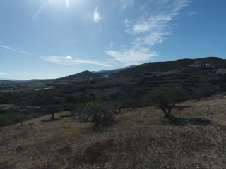 Οικόπεδο 4000 τ.μ.