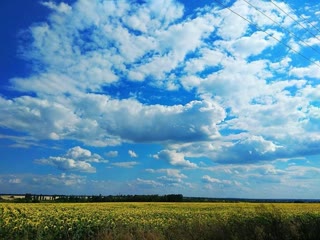 Дача участок під забудову
