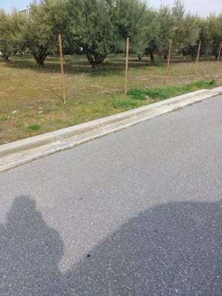 Участок 880 м²