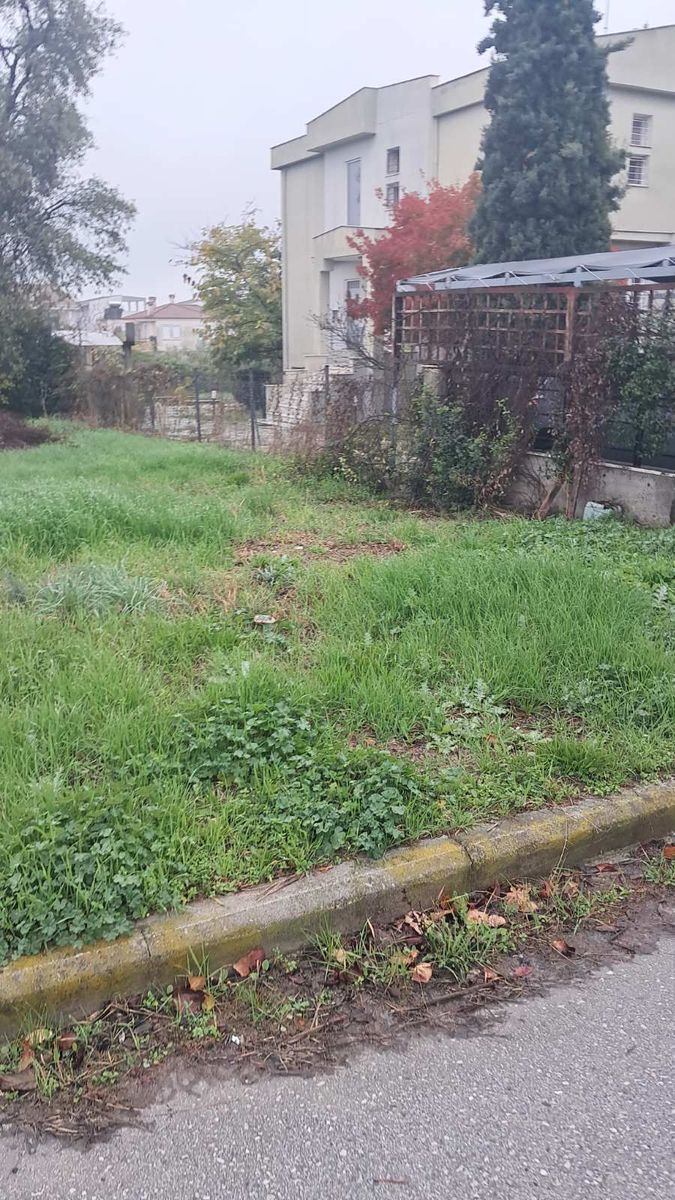 100 m² Plot