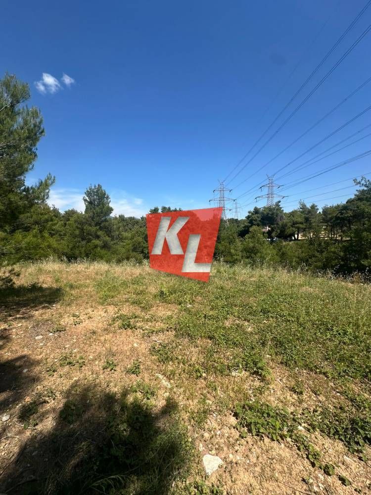 Οικόπεδο 800τ.μ.