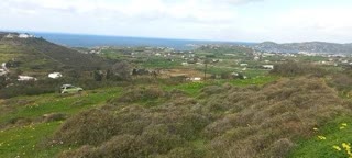 8122 m² Parcel