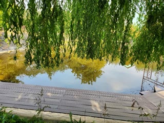 Дуже красивий участок
