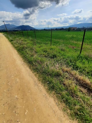 5700 m² Parcel