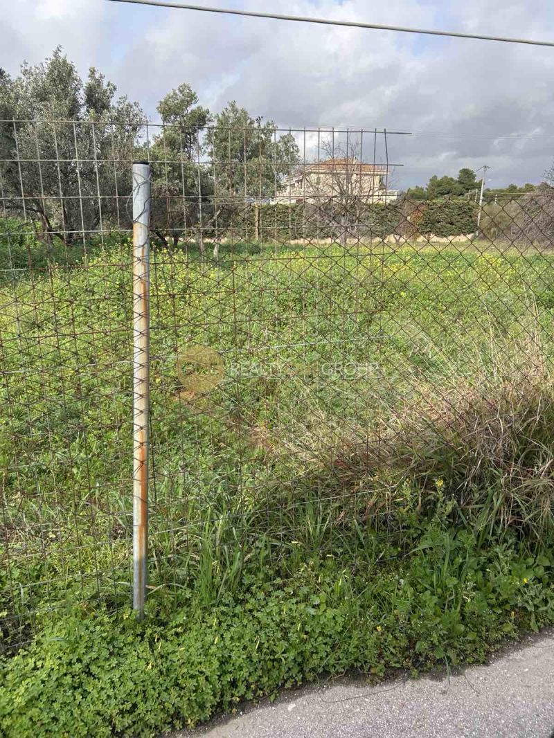 Οικόπεδο 1500 τ.μ.