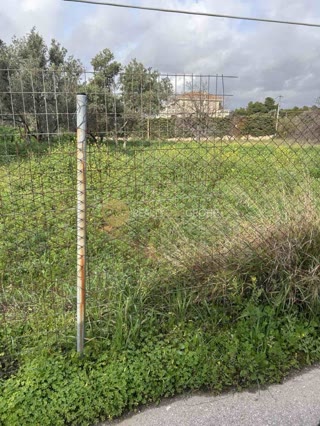 1500 m² Plot