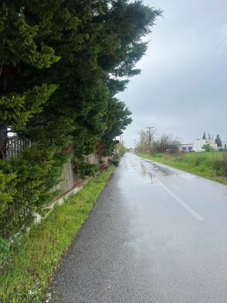4500 m² Parcel