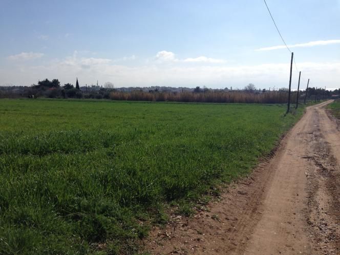 5060 m² Parcel