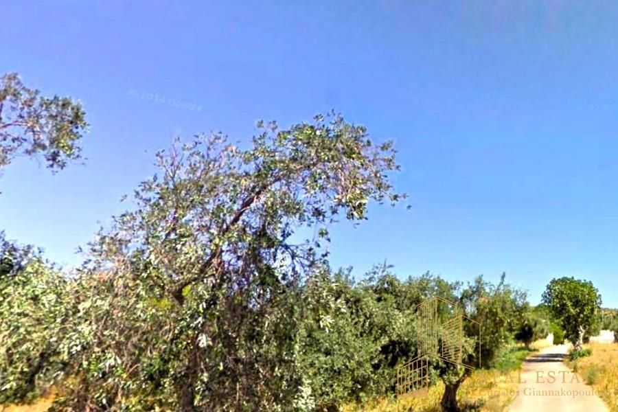 Οικόπεδο 1370τ.μ.