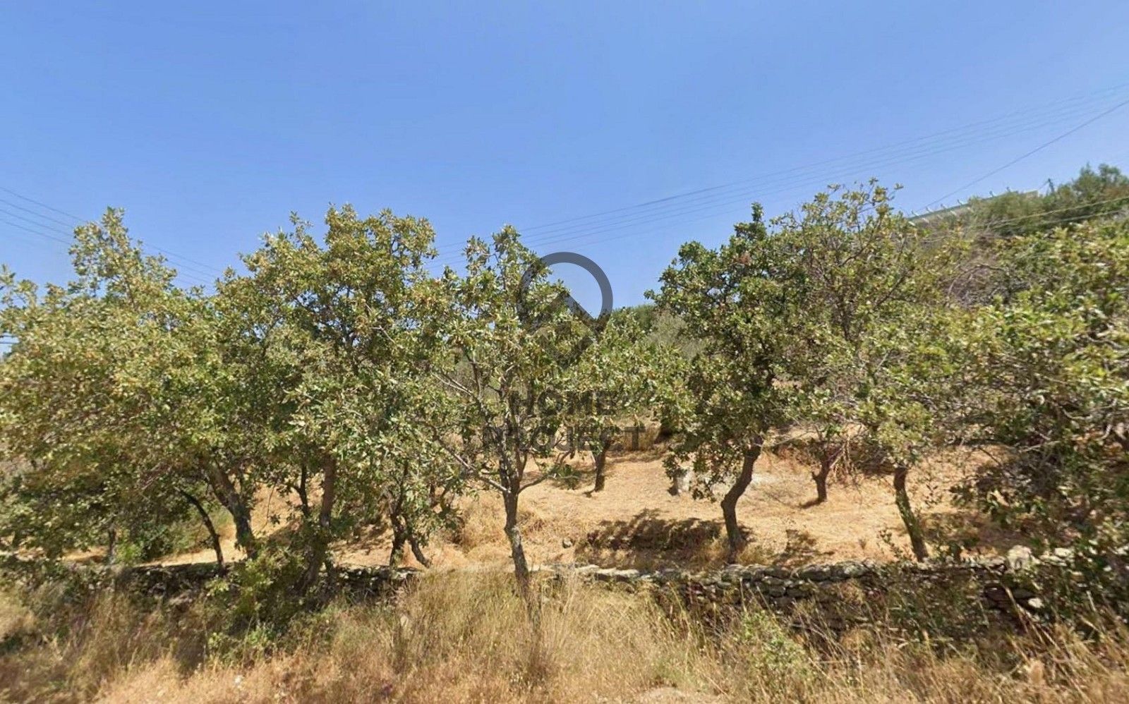 8404 m² Plot