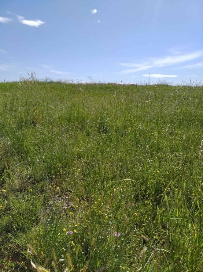 Участок 218 м²