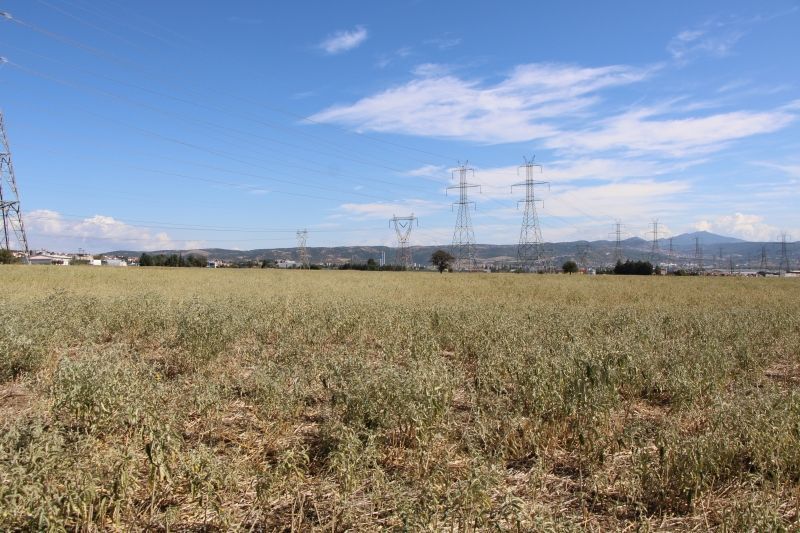 19800 m² Parcel
