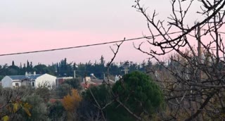 2950 m² Plot