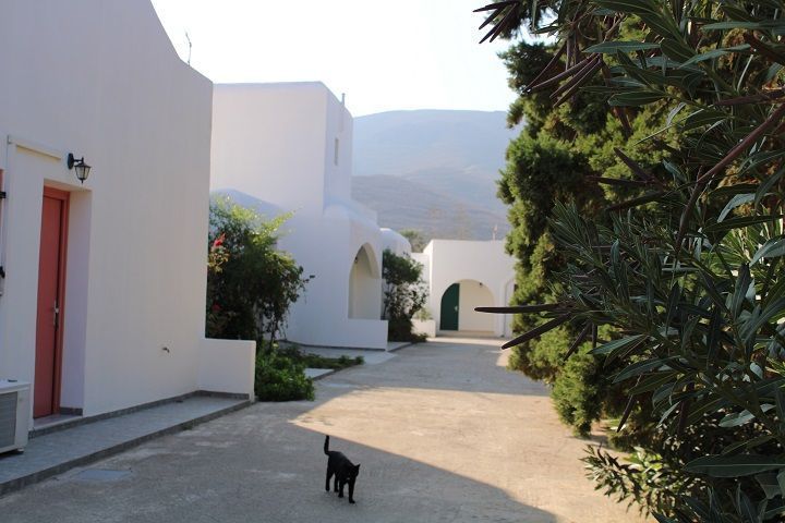 Συγκρότημα διαμερισμάτων 411τ.μ.